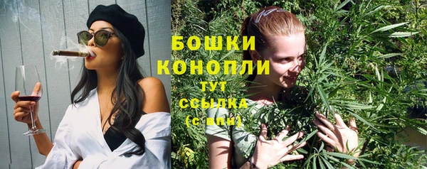 твердый Новодвинск
