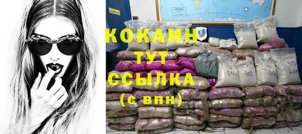 твердый Новодвинск