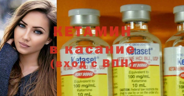 твердый Новодвинск